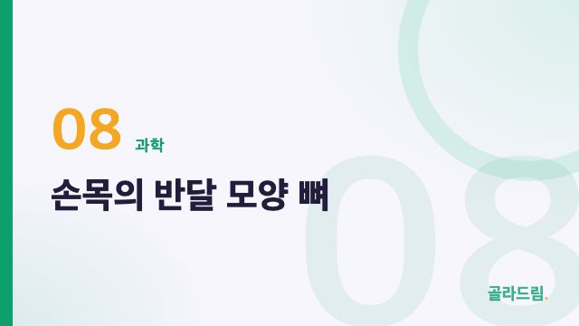 손목의 반달 모양 뼈