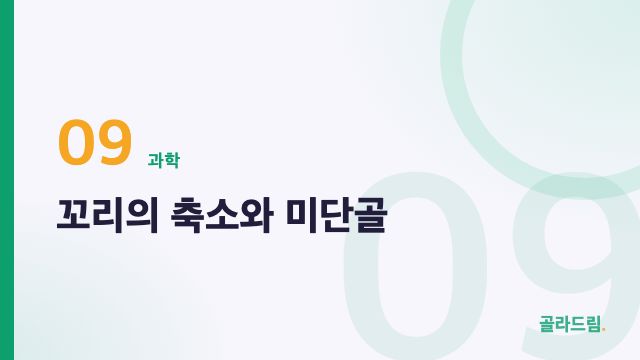 꼬리의 축소와 미단골