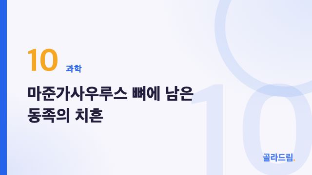 마준가사우루스 뼈에 남은 동족의 치흔