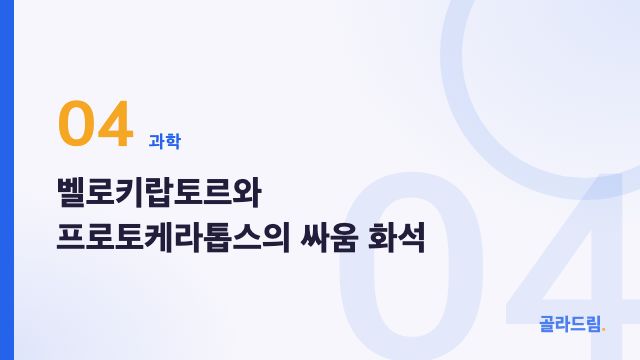 벨로키랍토르와 프로토케라톱스의 싸움 화석