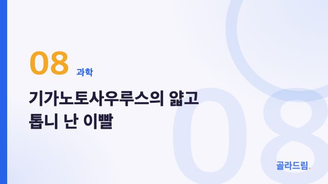 기가노토사우루스의 얇고 톱니 난 이빨