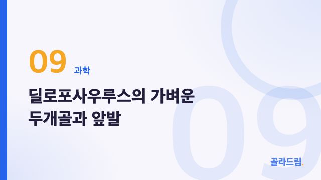 딜로포사우루스의 가벼운 두개골과 앞발