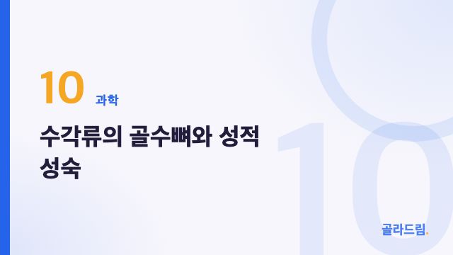 수각류의 골수뼈와 성적 성숙