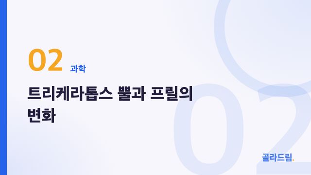트리케라톱스 뿔과 프릴의 변화