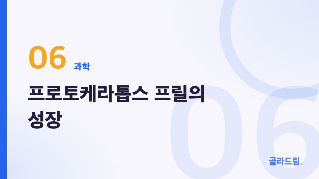 프로토케라톱스 프릴의 성장