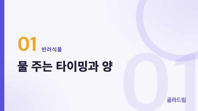 물 주는 타이밍과 양