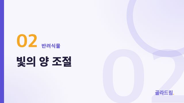 빛의 양 조절