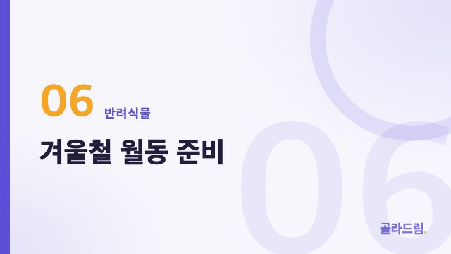 겨울철 월동 준비