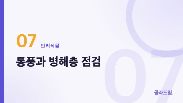 통풍과 병해충 점검
