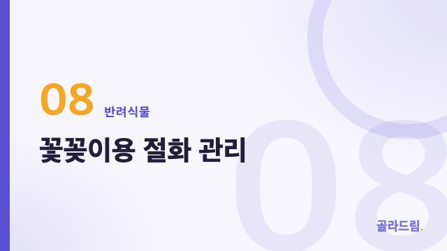 꽃꽂이용 절화 관리