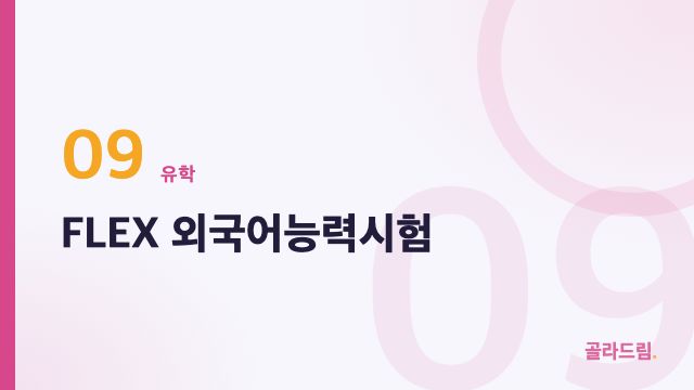 FLEX 외국어능력시험