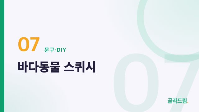 바다동물 스퀴시