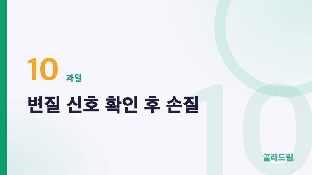 변질 신호 확인 후 손질