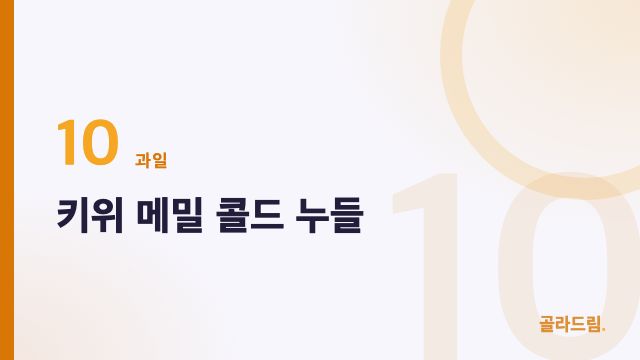 키위 메밀 콜드 누들