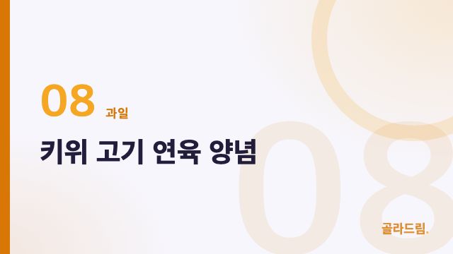 키위 고기 연육 양념