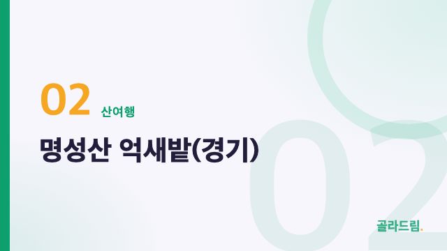 명성산 억새밭(경기)