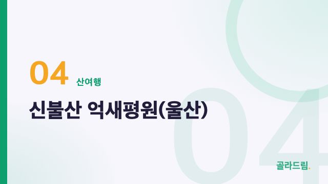 신불산 억새평원(울산)