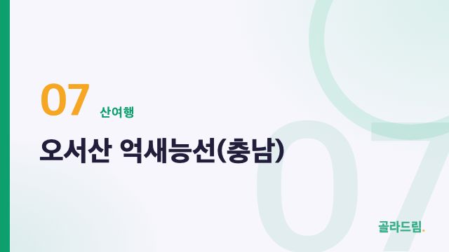 오서산 억새능선(충남)