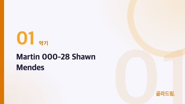 Martin 000-28 Shawn Mendes