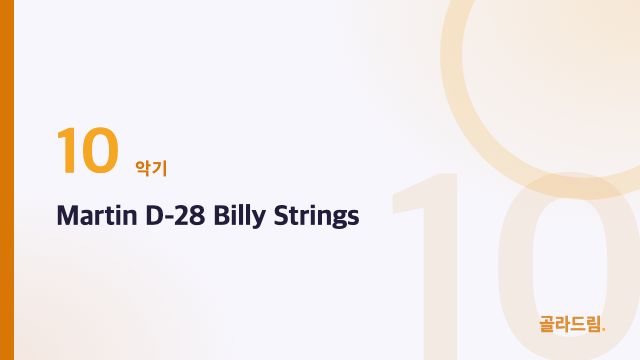 Martin D-28 Billy Strings