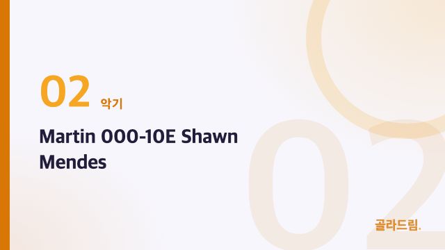 Martin 000-10E Shawn Mendes