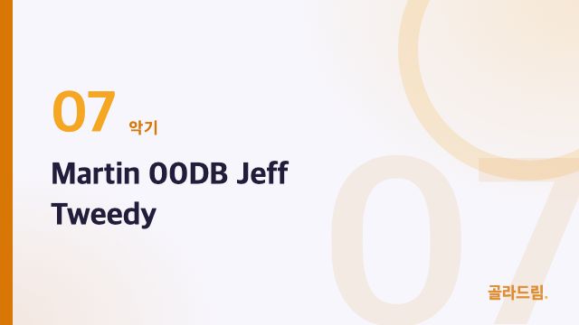 Martin 00DB Jeff Tweedy