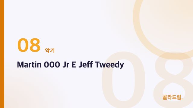 Martin 000 Jr E Jeff Tweedy