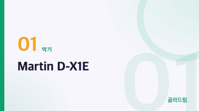 Martin D-X1E