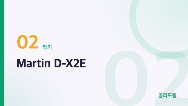 Martin D-X2E