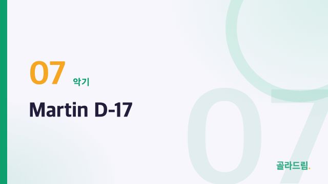 Martin D-17