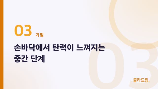 손바닥에서 탄력이 느껴지는 중간 단계