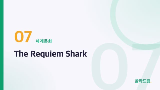 The Requiem Shark