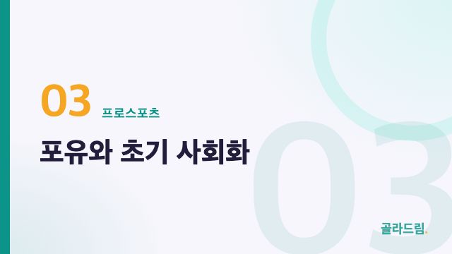 포유와 초기 사회화