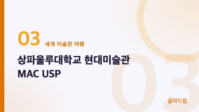 상파울루대학교 현대미술관 MAC USP