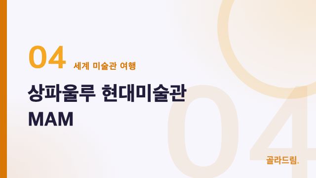 상파울루 현대미술관 MAM