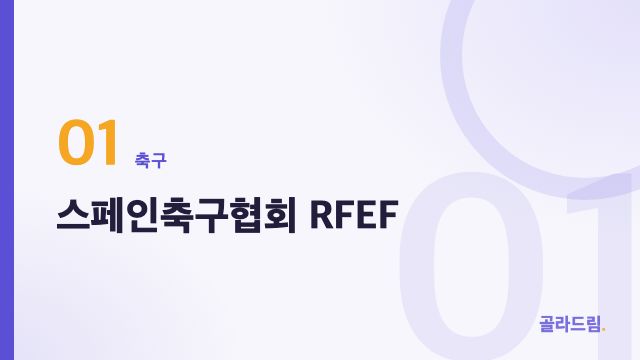 스페인축구협회 RFEF
