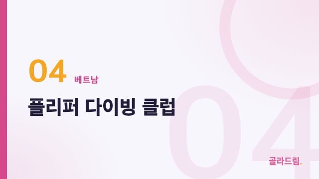 플리퍼 다이빙 클럽