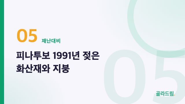 피나투보 1991년 젖은 화산재와 지붕