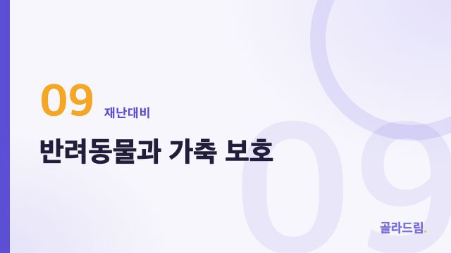 반려동물과 가축 보호