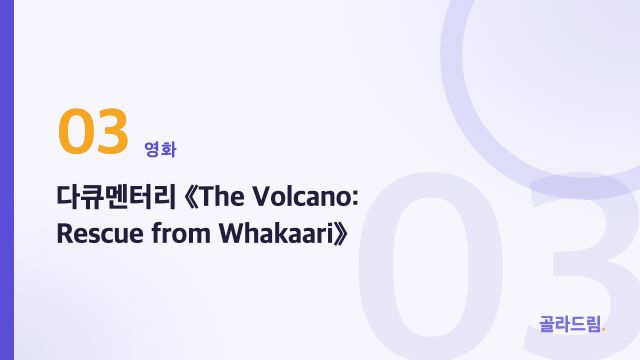 다큐멘터리 《The Volcano: Rescue from Whakaari》